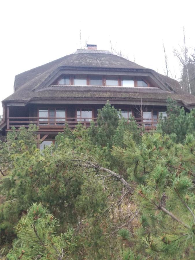 Dzeni Guest House Amatciems Exterior photo